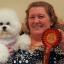 Consett Stanley Advertiser: PROUD OWNER: Echo (Burneze Northern Echo) the bichon frise, from Tow Law, owned by Ann Marie Burns got best puppy bitch in breed at Crufts Consett Stanley Advertiser: PROUD OWNER: Echo (Burneze Northern Echo) the bichon frise, from Tow Law, owned by Ann Marie Burns got best puppy bitch in breed at Crufts
